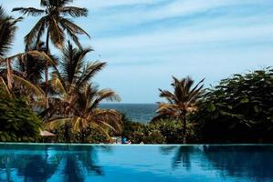 Resort swimming pool and palm trees photo