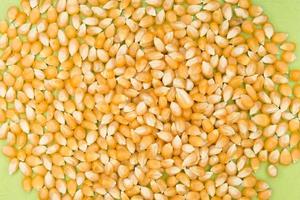 Corn kernels on green background photo