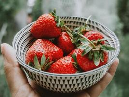 primer plano de la mano que sostiene un tazón de fresas foto