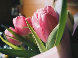 Close-up of pink tulip bouquet photo