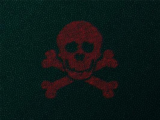 Virus bug code skull design