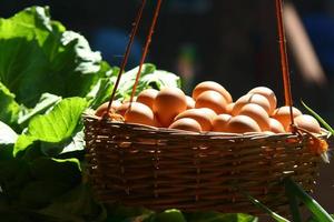 Basket filled with eggs photo