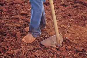 Person plowing soil photo