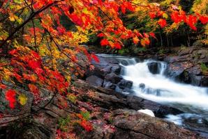 Autumn leaves and waterfall photo