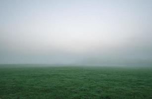 Foggy green grassy field photo