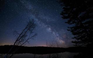 Trees under starry sky photo