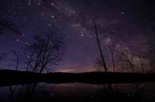 Trees under starry night sky photo