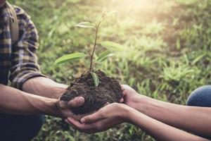 pareja joven lleva plántulas para ser plantadas foto