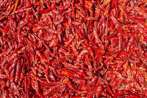 Dried red peppers photo