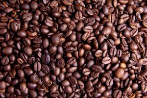 primer plano de granos de café foto