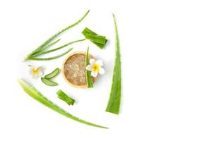 Aloe vera and flowers on white background photo