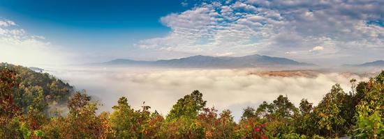 bosque con nubes y montañas foto