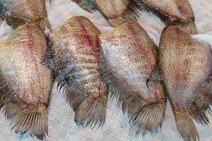 Peces gourami de piel de serpiente crudos salados y secados al sol foto