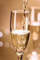 Close-up of champagne flute photo