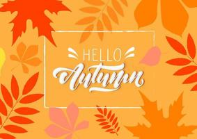 hola otoño sobre fondo de otoño vector