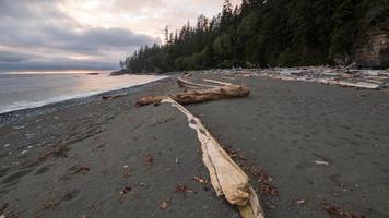 Brown wood log on beach photo