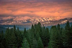 Trees in front of mountains at sunset photo