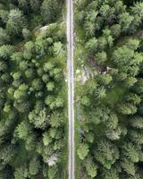 Aerial view of railroad in forest photo