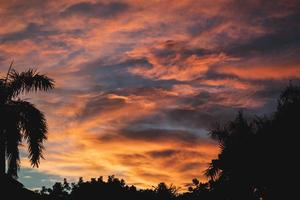 puesta de sol sobre palmeras foto