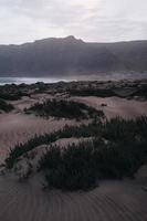 Sand dunes near body of water  photo