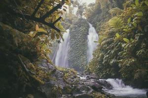 Waterfall surrounded with green trees photo