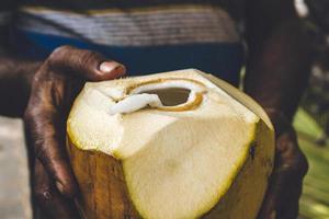 Person holding coconut photo