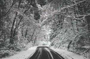 carretera nevada vacía foto