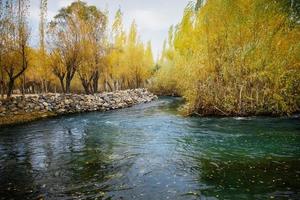 Creek flowing through colorful foliage photo