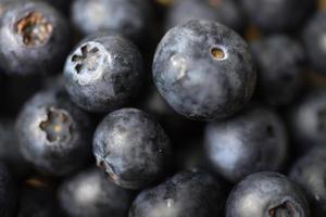 Fresh blueberries in macro  photo