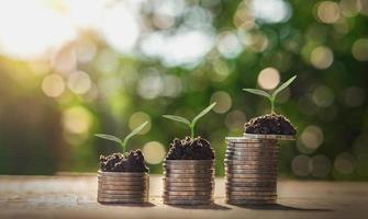 Stacks of coins with growing plants photo