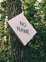 No name signange on tree photo