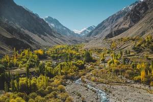 Nature landscape view of yellow and green foliage  photo