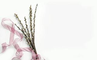 Bouquet of willow blossoms with ribbon photo