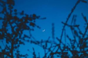 Waxing crescent moon photo