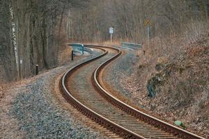 Railway tracks in a forest photo