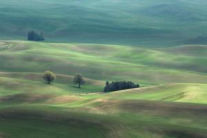 foto del campo de hierba verde