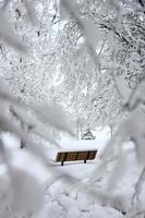 banco marrón cubierto de nieve foto