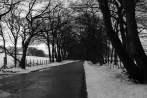 Grayscale photo of road between snow-covered landscape