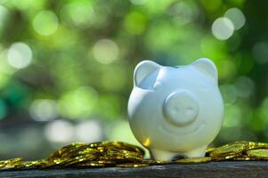 Piggy bank with gold coins on table outside photo