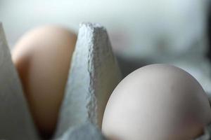 Closeup of two eggs in cardboard photo