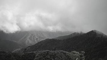 montaña con niebla foto