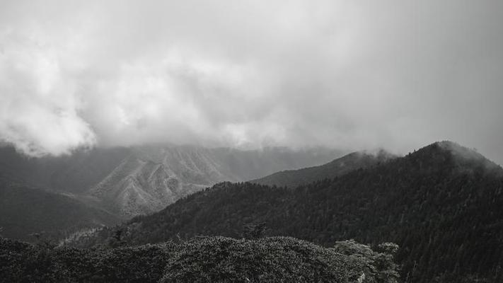 free stock videos 4k