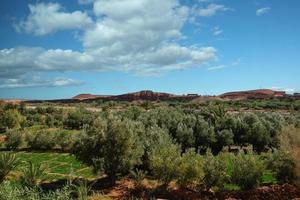 Vista del paisaje del campo de cultivo en Marruecos. foto