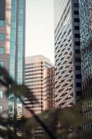 Cityscape view through the trees  photo