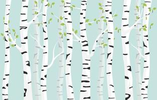 Spring birch spotty bark on tree with green leaves  vector