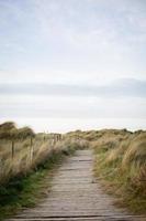 Wooden pathway near beach photo