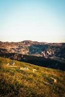 Field of grass near mountains photo