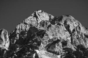 Black and white photo of trees and mountain