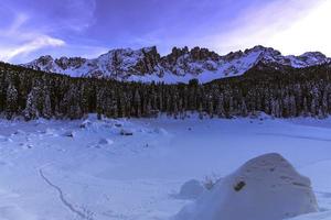 árboles y montañas nevadas foto