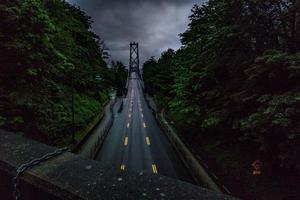 View of bridge between trees photo